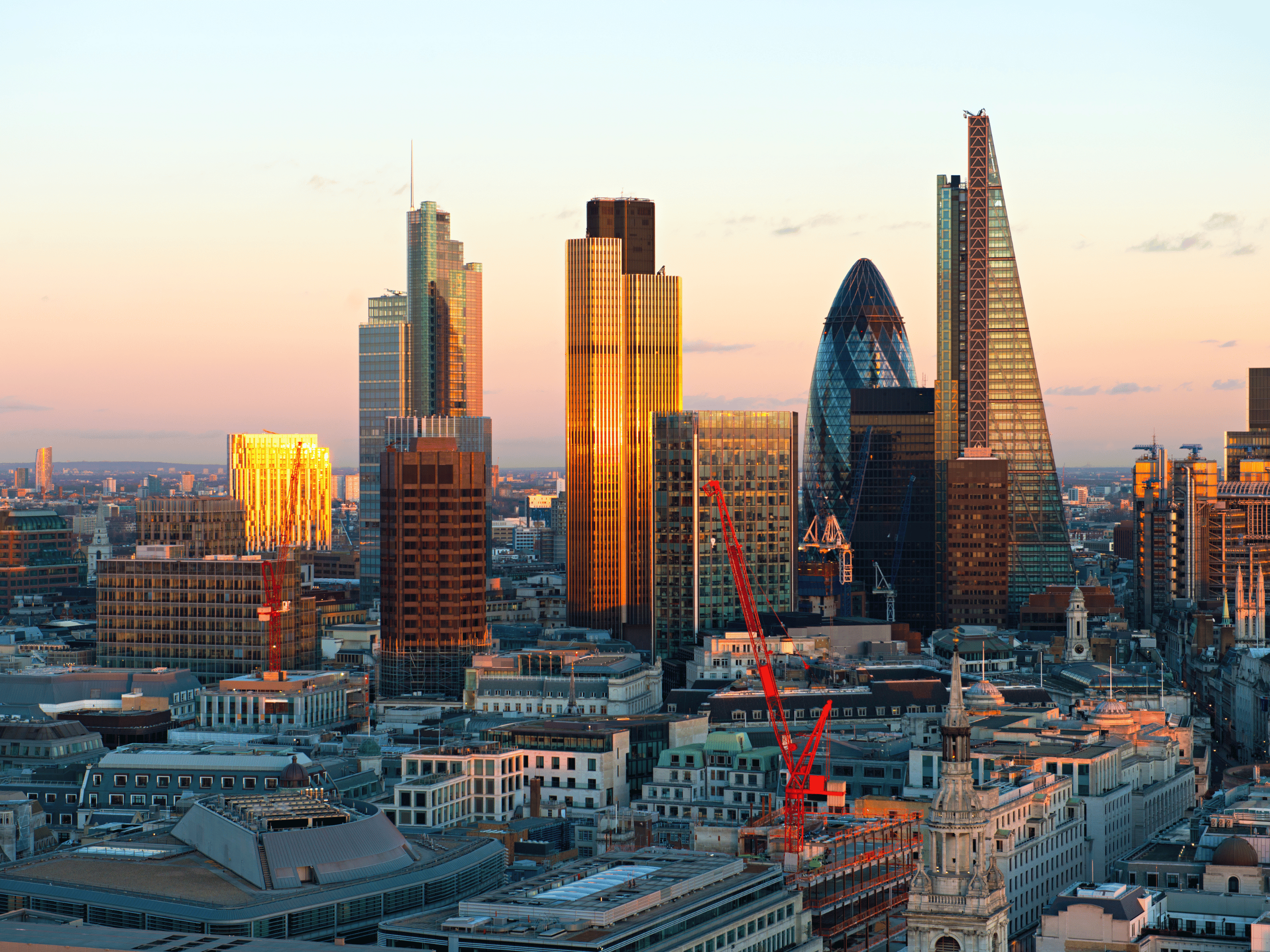 guest access mclaren portnox